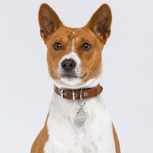 Lade das Bild in den Galerie-Viewer, Gravierte Haustier-ID-Plakette