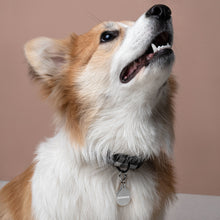 Lade das Bild in den Galerie-Viewer, Gravierte Haustier-ID-Plakette