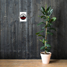Lade das Bild in den Galerie-Viewer, hoizeeeis Logo - Poster
